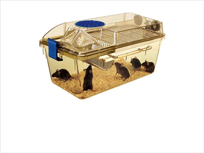独立通风笼具（IVC）检测